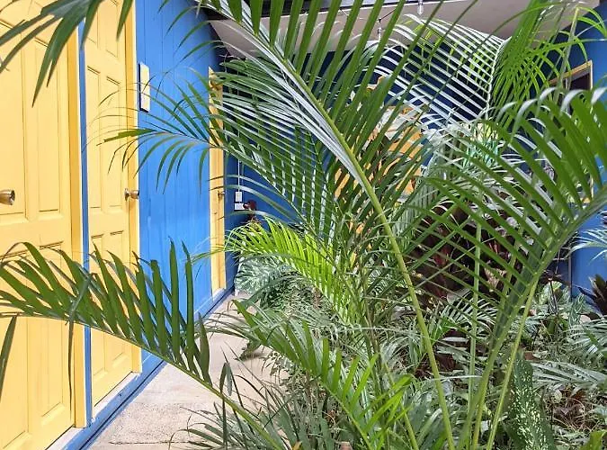 Guesthouse Congo Tempisque